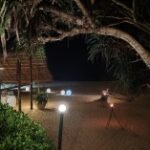 سعر ريلمي 12 برو: مواصفات Realme 12 Pro 45 gsmarena 026