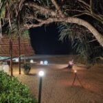 سعر ريلمي 12 برو: مواصفات Realme 12 Pro 56 gsmarena 041