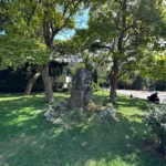 سعر ايفون 14 برو max في مصر, السعودية…مواصفات Iphone 14 23 iPhone 14PM IMG0010 3