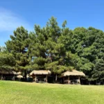 سعر ايفون 14 برو max في مصر, السعودية…مواصفات Iphone 14 13 iPhone 14PM IMG0033