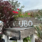 iPhone12review samples 04