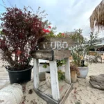 iPhone12review samples 05