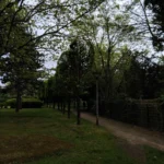 سعر سامسونج a05s في مصر: مواصفات Samsung Galaxy A05s 15 img 20240419 184318 scaled 1