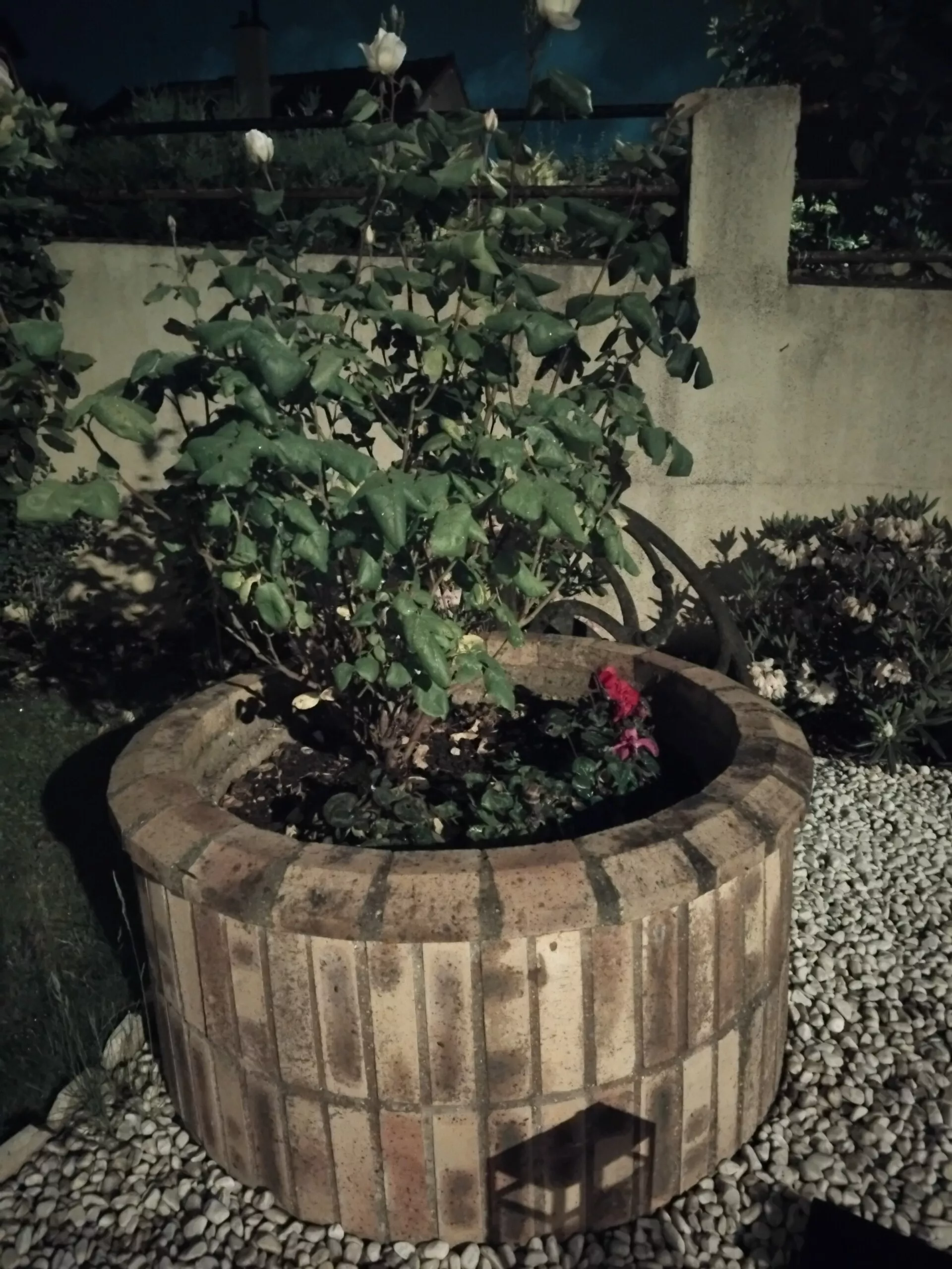 سعر سامسونج a05s في مصر: مواصفات Samsung Galaxy A05s 22 img 20240515 000505 scaled 1