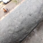 سعر سامسونج a05s في مصر: مواصفات Samsung Galaxy A05s 28 img 20240515 180156 rotated 1