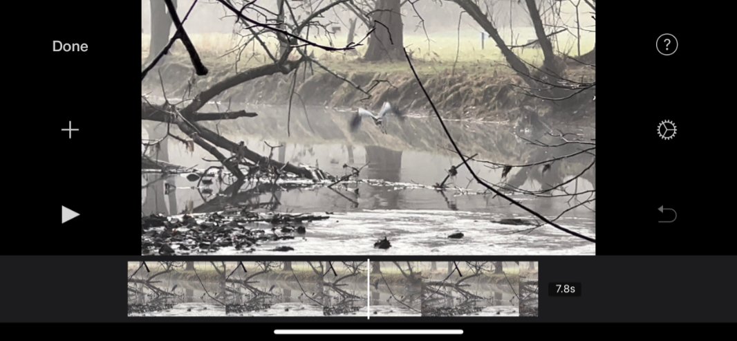 سعر و مواصفات ايفون 13 في مصر و السعودية 256 جيجا: سعر ايفون 13 22 imovie