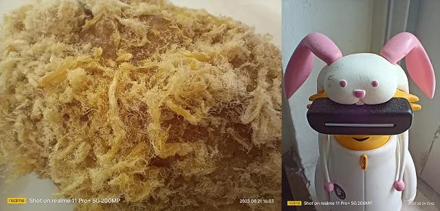 سعر ريلمي 11 برو بلس في مصر 18 realme 11 Pro Sample Photo 2