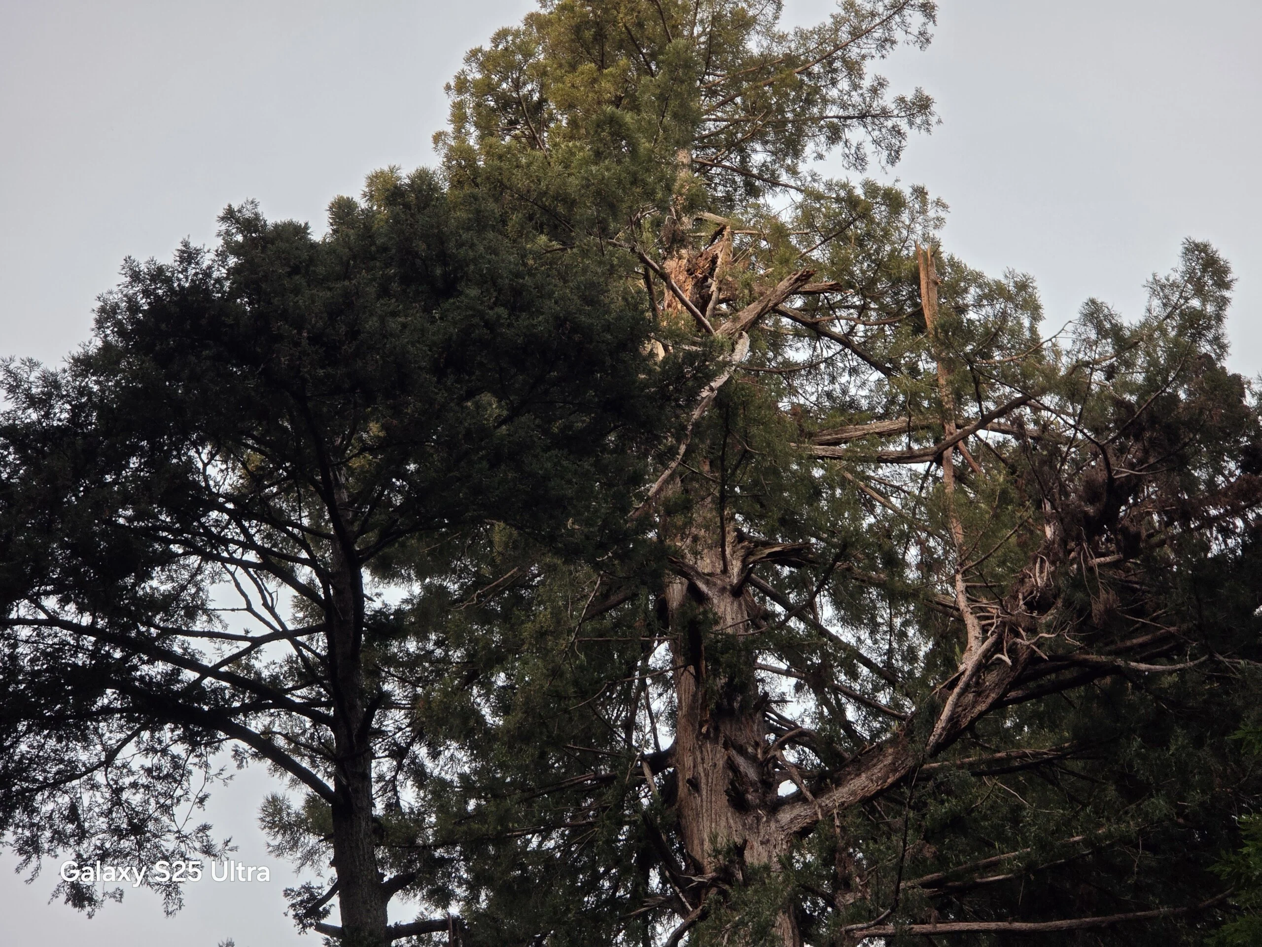 مقارنة بين هاتف OPPO Find X9 Pro وهاتف Samsung Galaxy S25 Ultra 26 20250122 171153 scaled 1