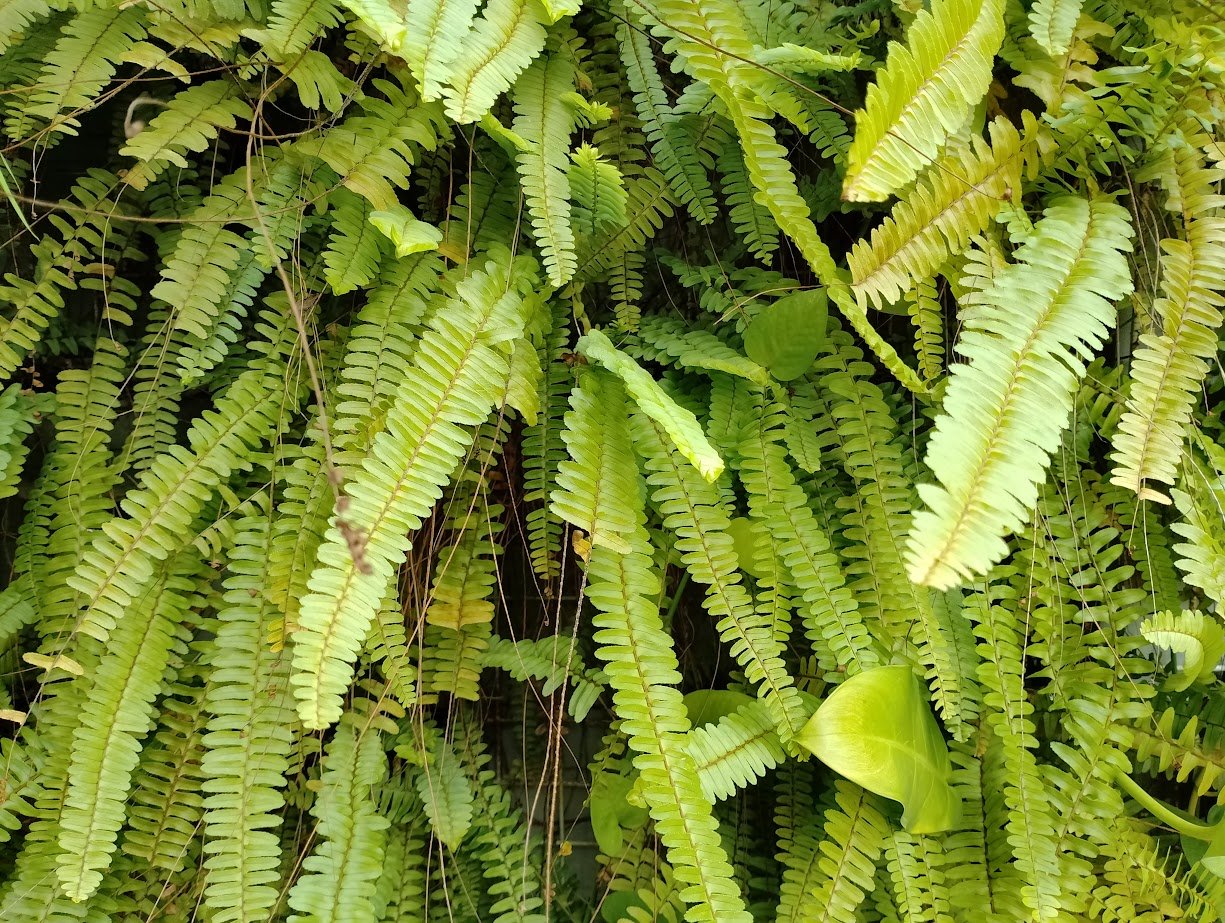 ريلمي c35: سعر ريلمي c35 في مصر- سعر و مواصفات Realme c35 10 IMG 20220526 1251582