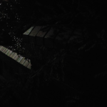 اوبو a52: سعر اوبو a52 في مصر اليوم - oppo a52 15 NightModeOff