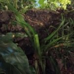 سعر ريدمي سي 15- مواصفات Redmi C15 20 Normal Mode 1 redmi 15 c review gadgetmatch 20250917 768x1020 1