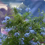 سعر ايفون 16 برو max في مصر - مواصفات iphone 16 pro max 1 QAHPQpUEH6THYH7Q9VwsKM 1200 80.jpg