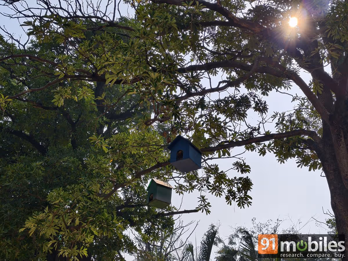 سعر iQOO 15 و مواصفاته - مميوات و عيوب آي كيو أو 15 10 iQOO 15 camera samples07