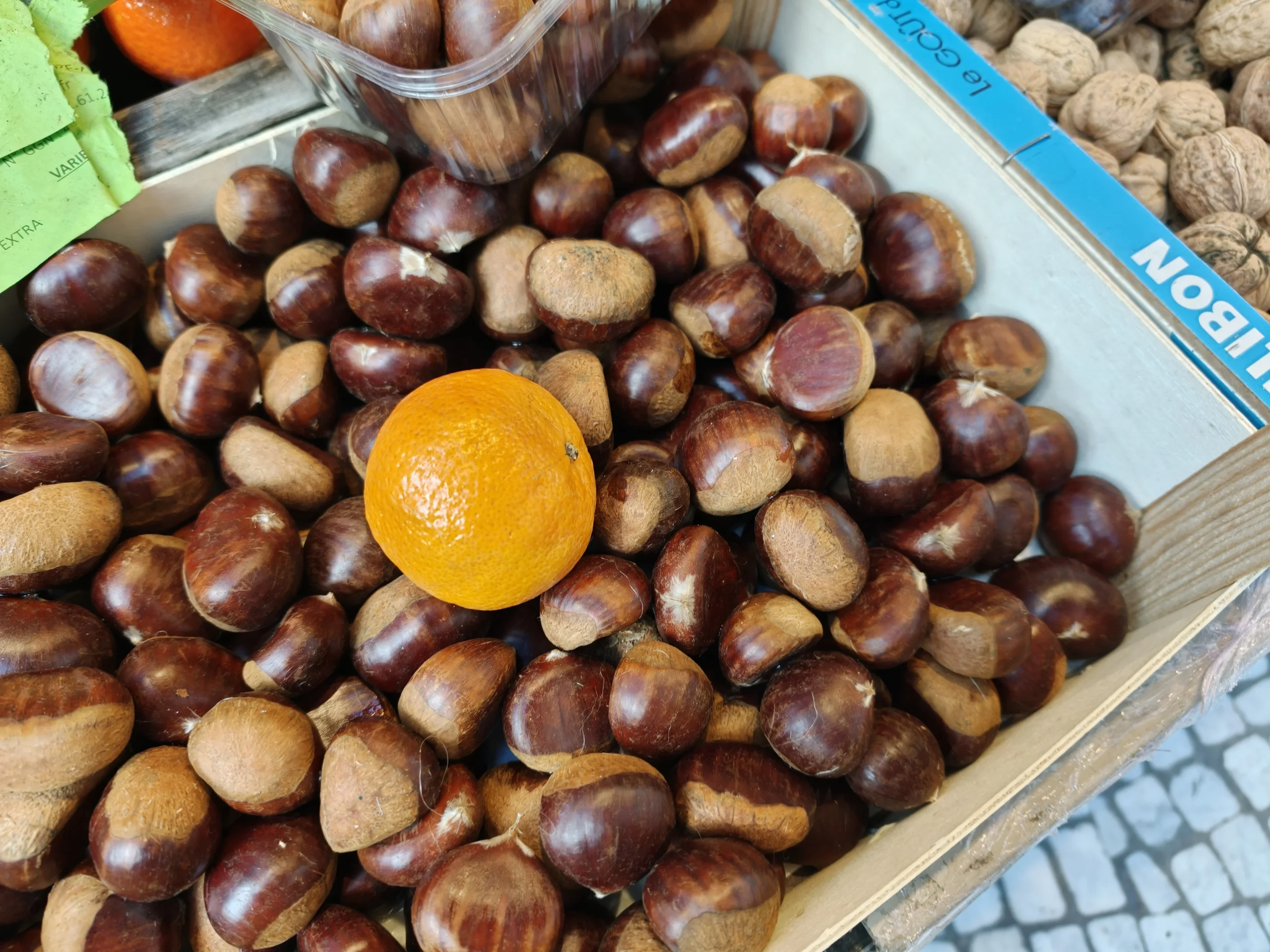 مراجعة هاتف Oppo Find X9 Pro: مصور بارع يفتقر إلى بريق معين 39 img20251023161848 copie scaled