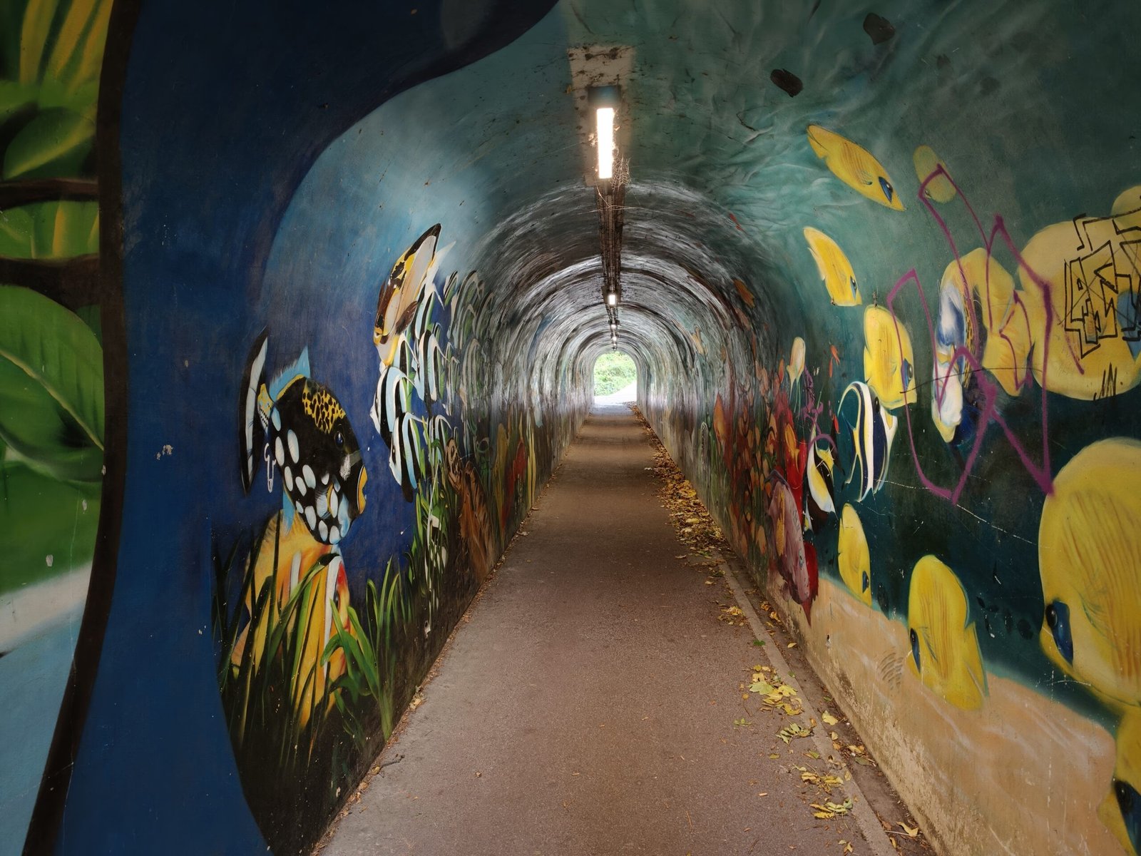 مراجعة هاتف Oppo Find X9 Pro: مصور بارع يفتقر إلى بريق معين 43 img20251024145521 scaled