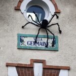 مراجعة هاتف Oppo Find X9 Pro: مصور بارع يفتقر إلى بريق معين 70 img20251024153520