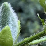 سعر ايفون 16 برو max في مصر - مواصفات iphone 16 pro max 45 jTFzcpMJcFgxLMduQcUMMU 1200 80.jpg