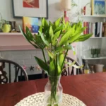 تليفون اوبو رينو 8 5G: سعر اوبو رينو 8 6 mmzAVvQ3UVhxe2SLfWPAuk 1200 80.jpg