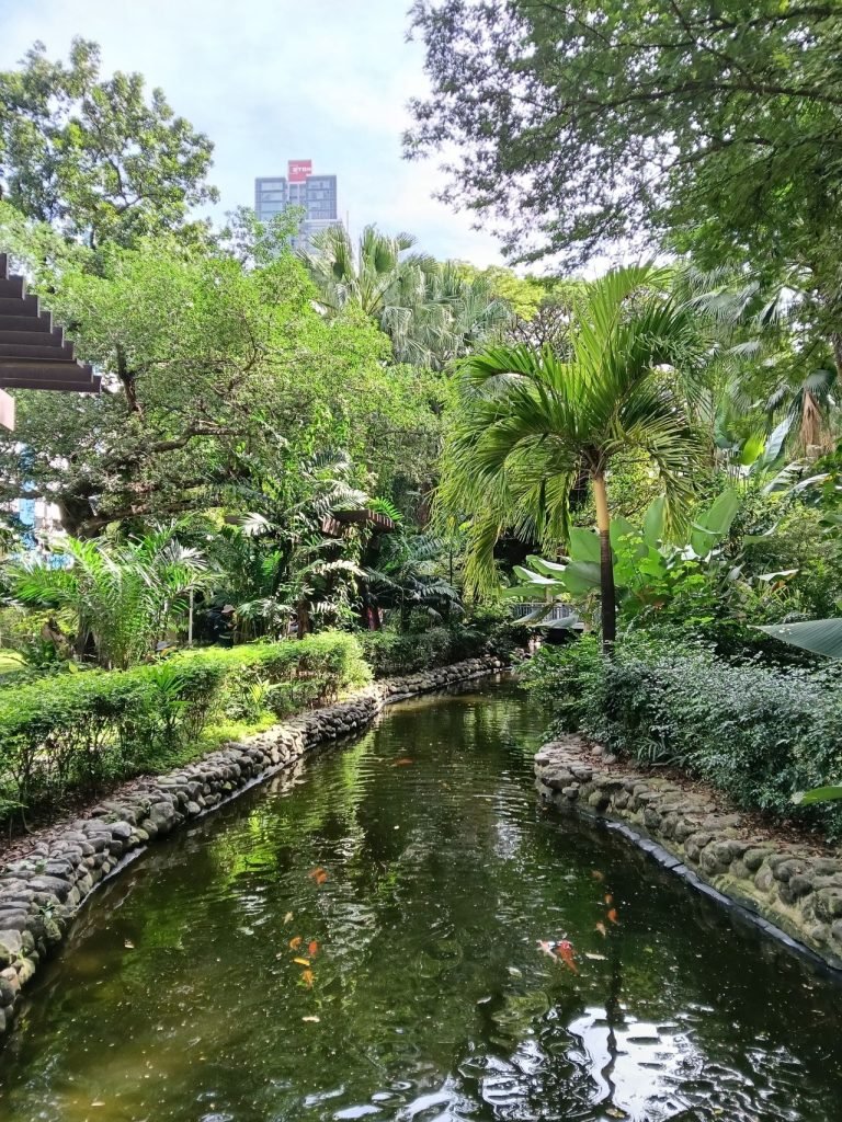 سعر أوبو A6 برو - مواصفات Oppo A6 Pro 14 oppo a6 pro camera photos 4