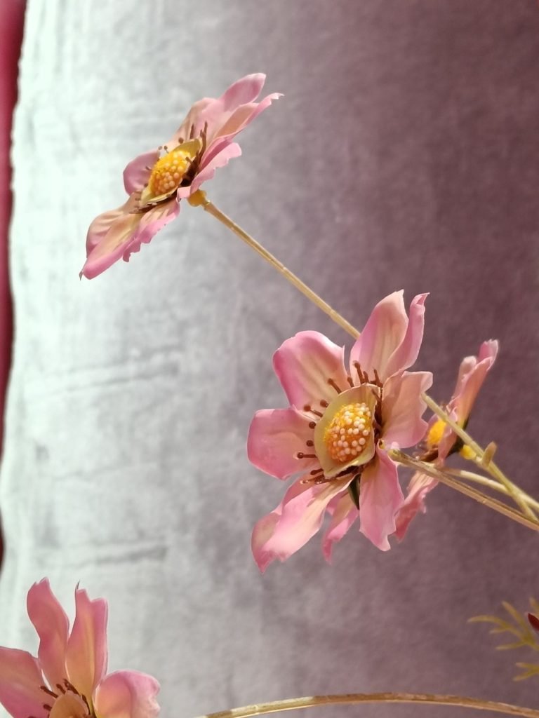 سعر أوبو A6 برو - مواصفات Oppo A6 Pro 27 oppo a6 pro camera photos flower portrait 2x zoom 20251231 768x1024 1