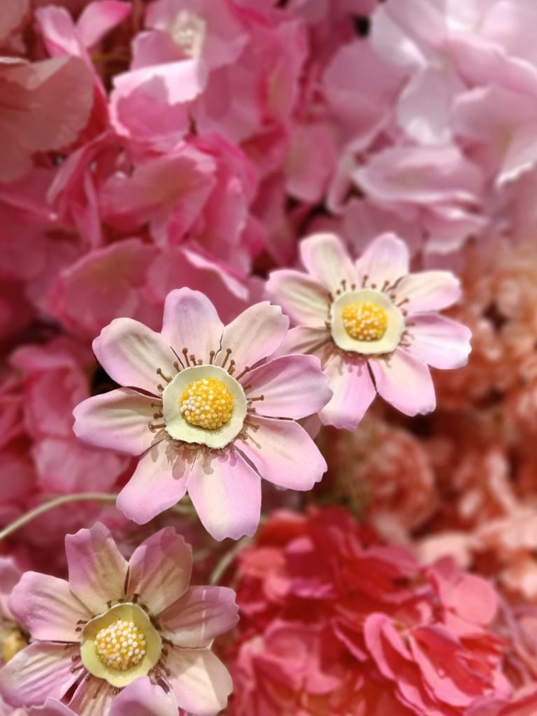 سعر أوبو A6 برو - مواصفات Oppo A6 Pro 28 oppo a6 pro camera photos flower portrait close up 20251231 768x1024 1