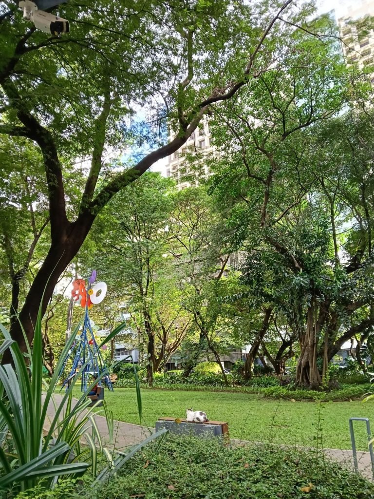 سعر أوبو A6 برو - مواصفات Oppo A6 Pro 35 oppo a6 pro camera photos park wide 20251231 768x1024 1