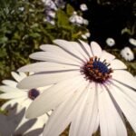 سعر اوبو a94 في مصر - مواصفات Oppo a94 6 oppo a94 5g review 2021 test shot 03 low 2 megapixel 1536x1152 1