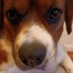 سعر اوبو a94 في مصر - مواصفات Oppo a94 10 oppo a94 5g review 2021 test shot 04 1536x1152 1