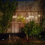 سعر رينو 12 -مواصفات Reno 12 5G 7 oppo reno 12 5g review 2024 test shot 06 1536x1152 1