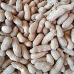 سعر ريلمي c15 - مواصفات realme c15 17 realme C15 Sample Photo 04