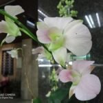 سعر ريلمي c15 - مواصفات realme c15 16 realme C15 Sample Photo 05