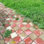 موبايل realme c53: سعر تليفون ريلمي سي 53 - ريلمي c53 16 realme C53 Review Camera Samples 14