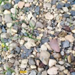 موبايل realme c53: سعر تليفون ريلمي سي 53 - ريلمي c53 7 realme C53 Review Camera Samples 24