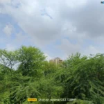 موبايل realme c53: سعر تليفون ريلمي سي 53 - ريلمي c53 4 realme C53 Review Camera Samples 26