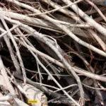 موبايل realme c53: سعر تليفون ريلمي سي 53 - ريلمي c53 26 realme C53 Review Camera Samples 7