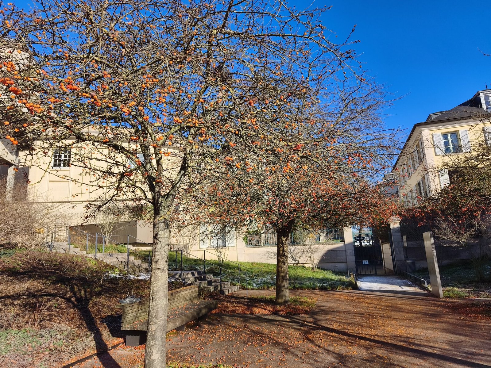 سعر REDMI Note 15 Pro+ 5G - مواصفات ريدمي نوت 15 برو+ 5G 26 xiaomi redmi note 15 pro ga 2 scaled