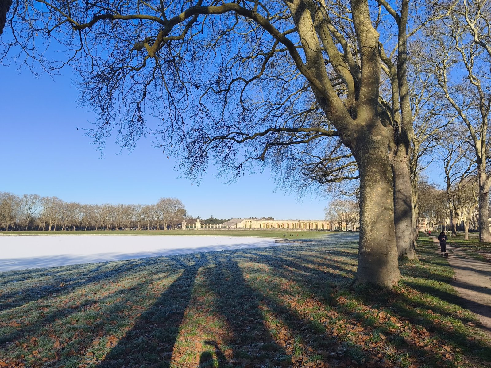 سعر REDMI Note 15 Pro+ 5G - مواصفات ريدمي نوت 15 برو+ 5G 24 xiaomi redmi note 15 pro ga 4 scaled