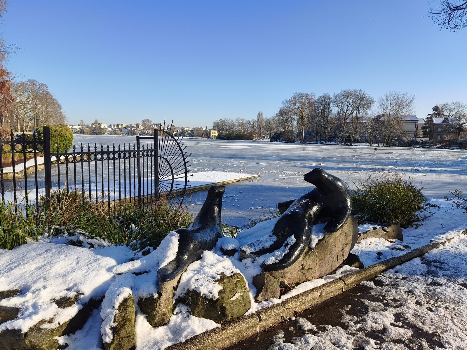 سعر REDMI Note 15 Pro+ 5G - مواصفات ريدمي نوت 15 برو+ 5G 23 xiaomi redmi note 15 pro ga 5 scaled