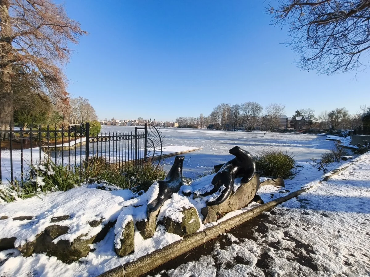 سعر REDMI Note 15 Pro+ 5G - مواصفات ريدمي نوت 15 برو+ 5G 37 xiaomi redmi note 15 pro uga 1 1200x900 1