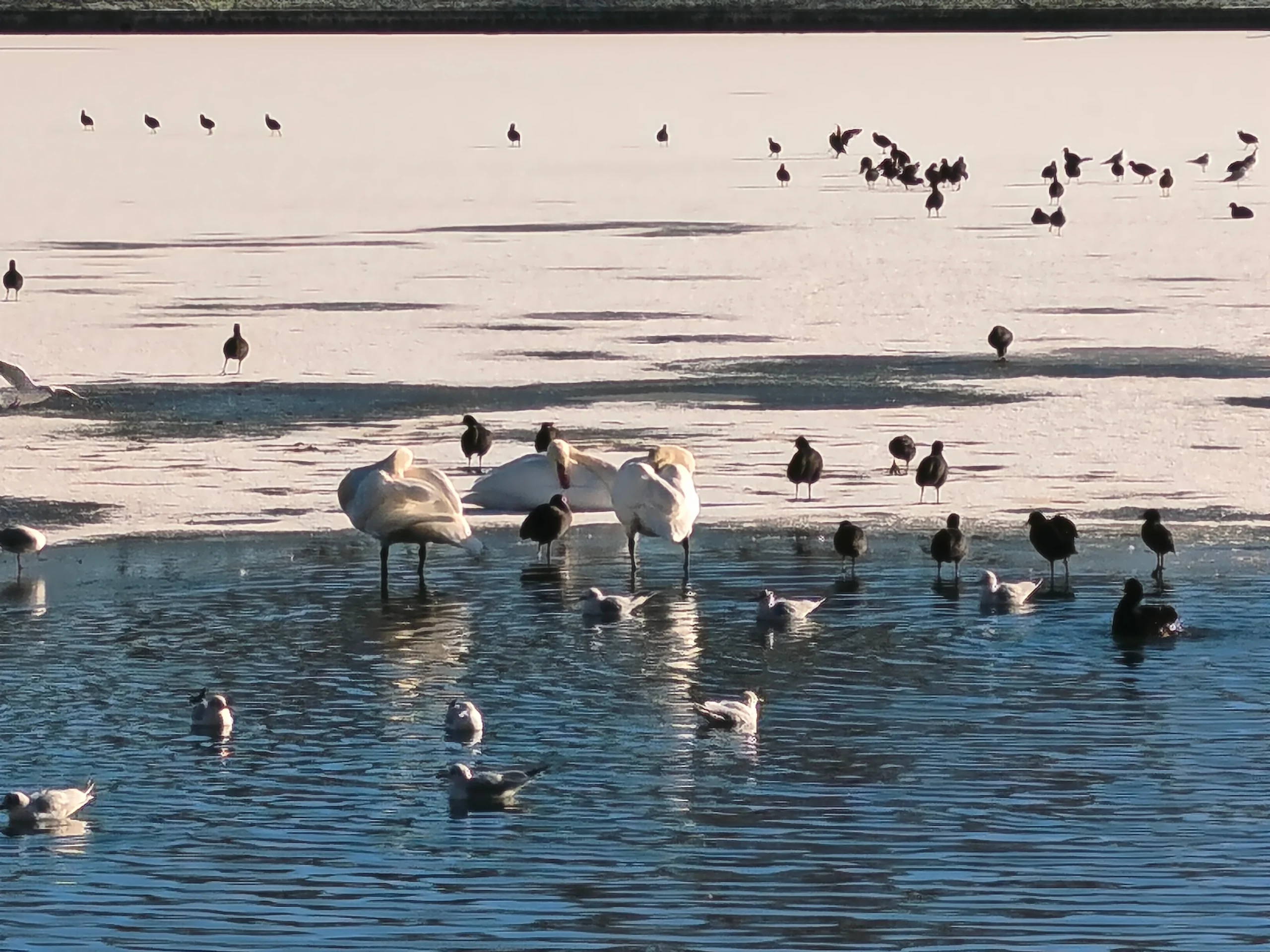 سعر REDMI Note 15 Pro+ 5G - مواصفات ريدمي نوت 15 برو+ 5G 57 xiaomi redmi note 15 pro zoom 10x 1 1 scaled