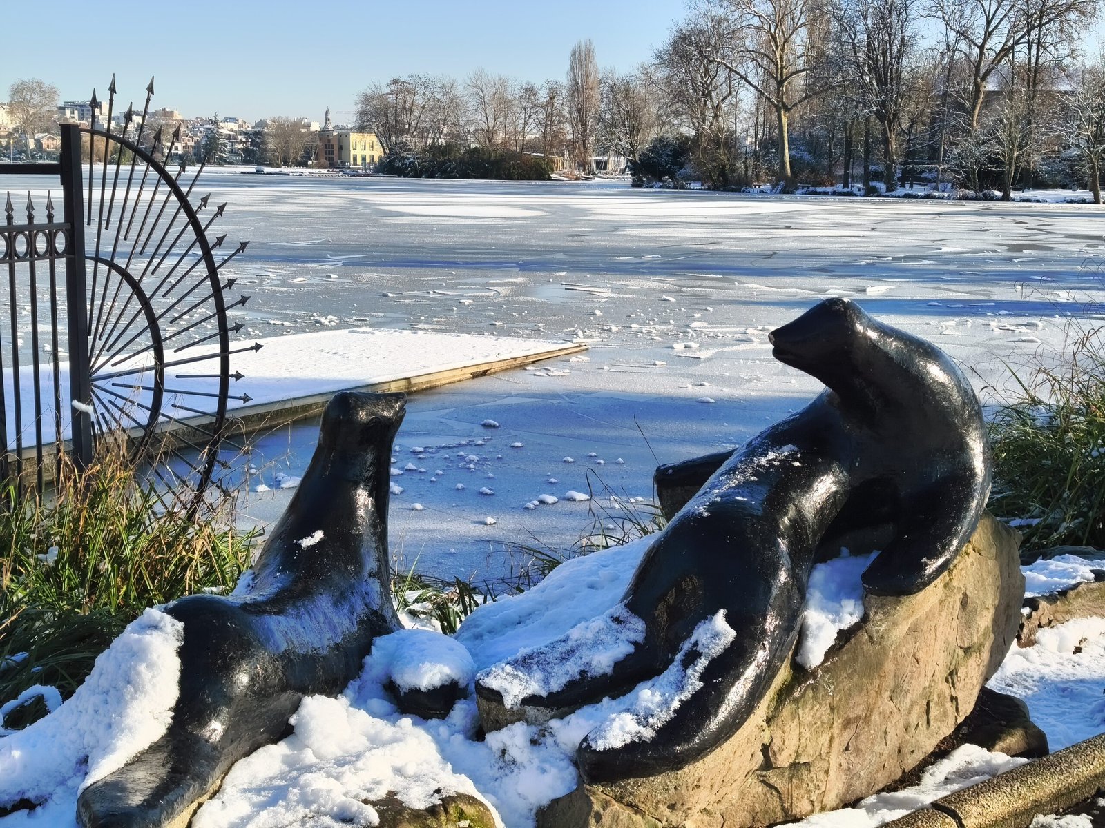 سعر REDMI Note 15 Pro+ 5G - مواصفات ريدمي نوت 15 برو+ 5G 49 xiaomi redmi note 15 pro zoom 2x 4 scaled