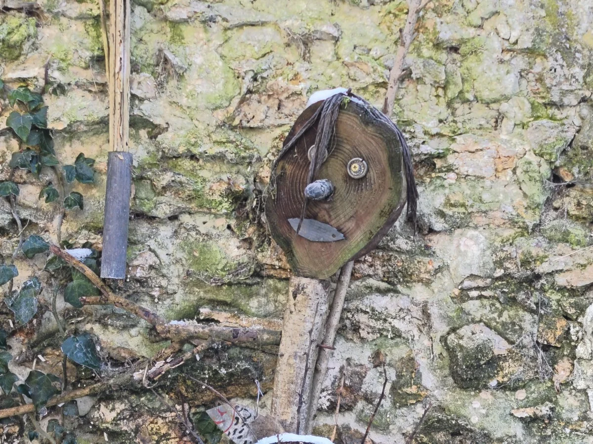 سعر REDMI Note 15 Pro+ 5G - مواصفات ريدمي نوت 15 برو+ 5G 47 xiaomi redmi note 15 pro zoom 4x 15 1200x900 1