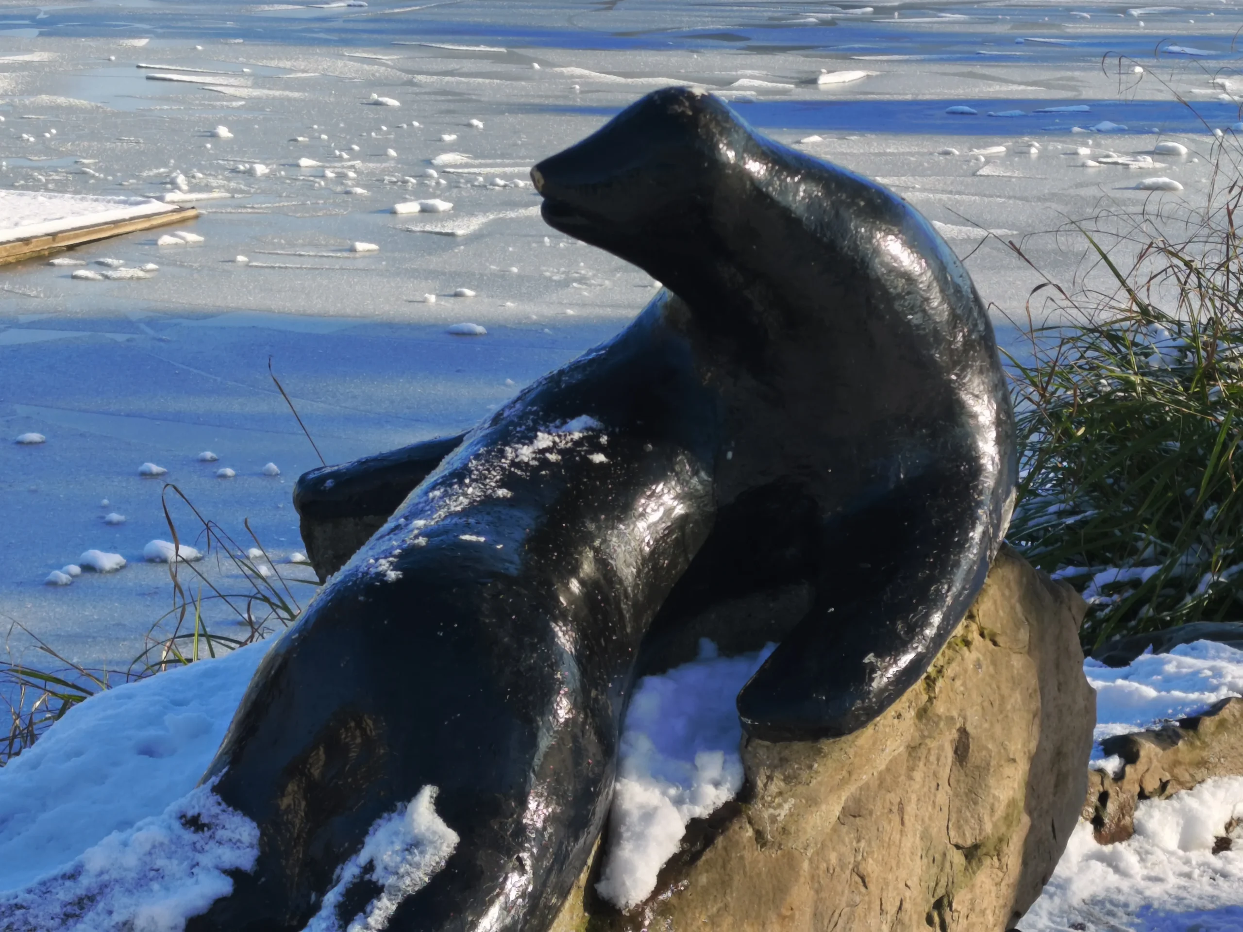 سعر REDMI Note 15 Pro+ 5G - مواصفات ريدمي نوت 15 برو+ 5G 54 xiaomi redmi note 15 pro zoom 4x 3 scaled