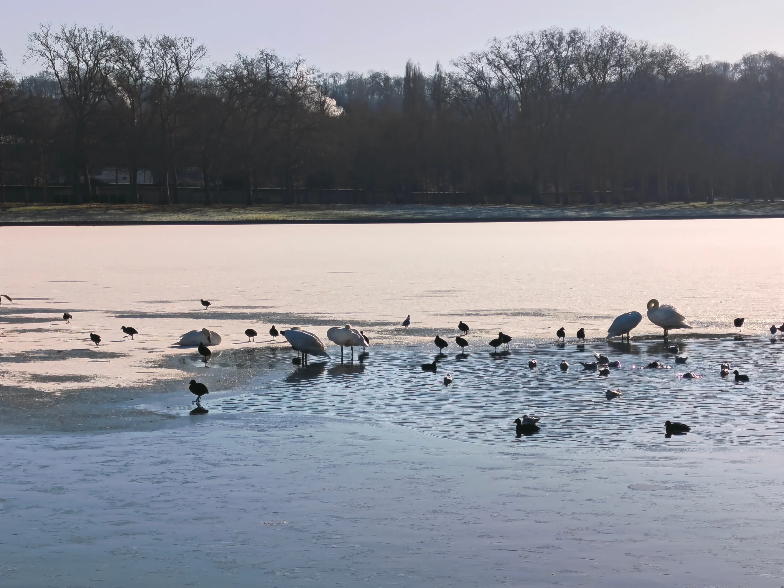 سعر REDMI Note 15 Pro+ 5G - مواصفات ريدمي نوت 15 برو+ 5G 53 xiaomi redmi note 15 pro zoom 4x 6 1 scaled